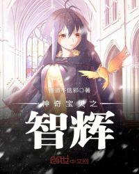 神奇宝贝智辉笔趣阁
