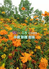 乱花迷人眼by金叶子全文