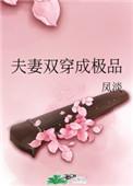 夫妻双穿成极品风淡