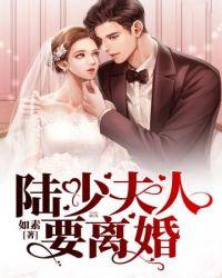 陆少夫人要离婚陆初颜最新章节列表
