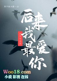 后来的我还是爱你免费