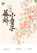 王爷的暴轿小妻子