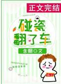 碰瓷翻了车txt百度