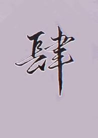 肆拾玖坊53度酒价格一览表