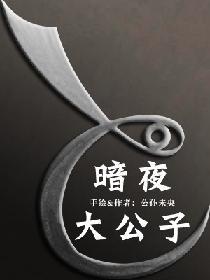 暗夜贵公子怎么样
