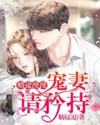婚途漫漫老公请矜持txt