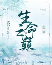 生命之巅 公示