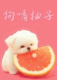 狗狗吃柚子嘛