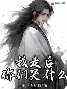 “我走后