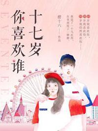 十七岁你喜欢谁书评