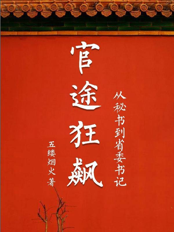 官场 省委书记