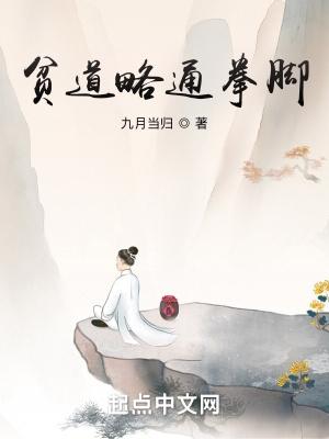 贫道略通拳脚TXT全本