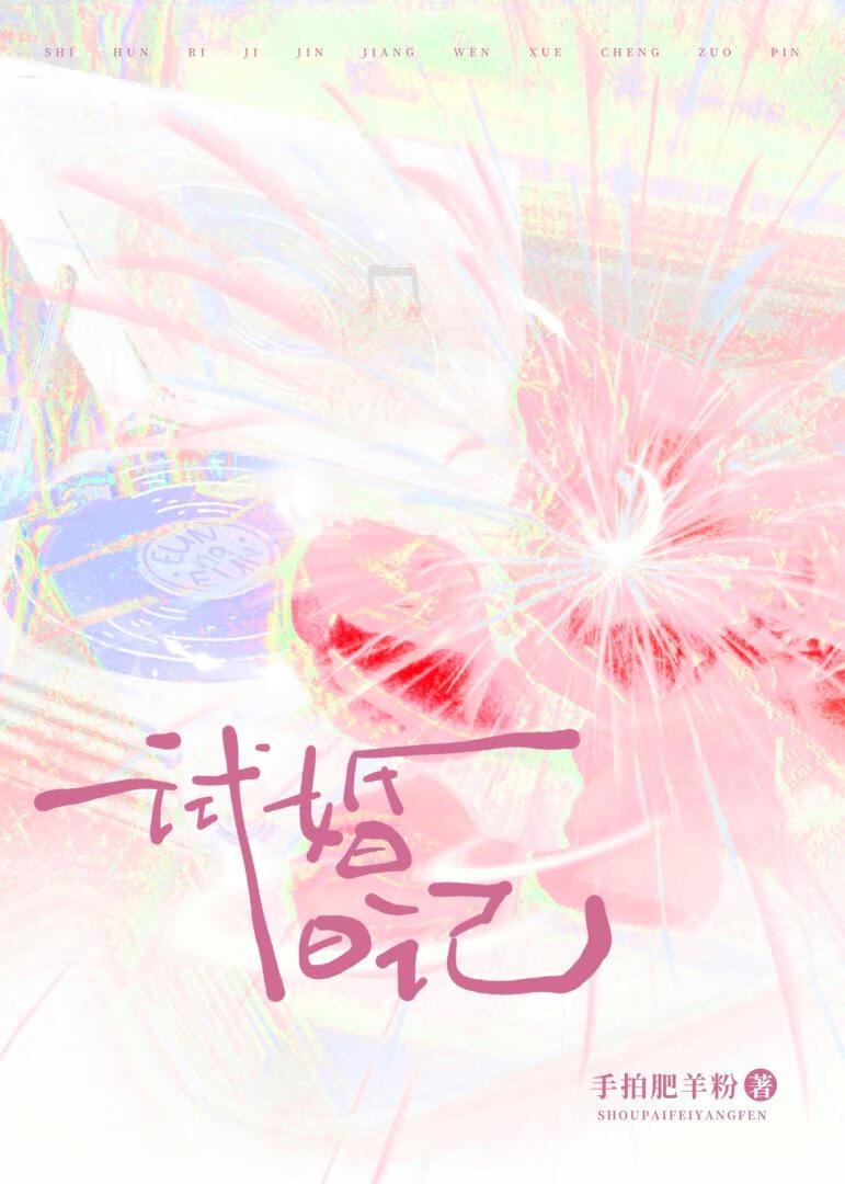 试婚日记全文TXT