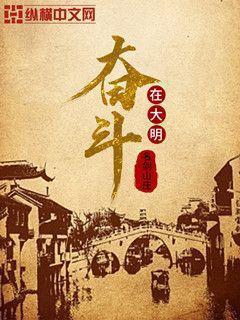 奋斗在新明朝无弹窗
