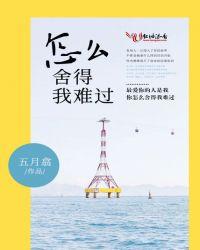 怎么舍得我难过是谁唱的歌