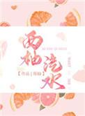 西柚汽水txt书包网