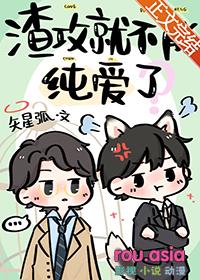 渣攻不换攻he