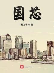 国芯科技董事长