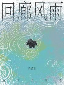 回廊风雨by孔瓷双洁吗