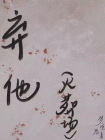弃他如风短剧免费观看全集