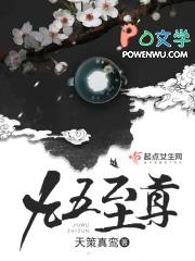 九五至尊是指什么意思