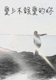 爱上不该爱的人的歌词