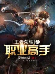 王者荣耀之最强职业