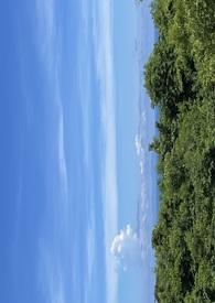 错过的青春拿什么赎回是什么歌曲