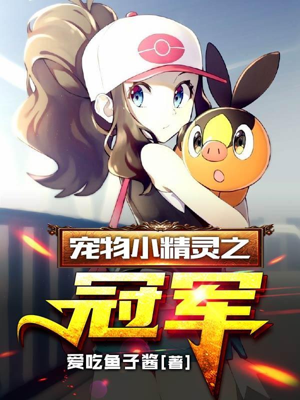 宠物小精灵之冠军正版
