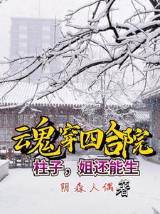 四合院傻柱的弟弟