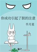 你成功引起了朕的注意晋江
