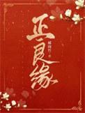 正良缘笔趣阁