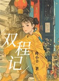 双程记 叶小辛讲的什么