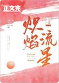 炽焰流星讲的是什么