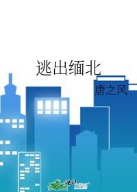 狂奔9小时逃出缅北