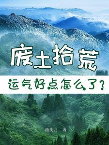 废土手游