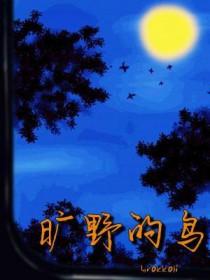 旷野的鸟在线阅读