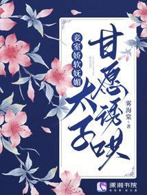 娇艳太子妾的