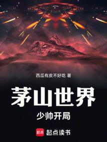 茅山世界少帅开局TXT