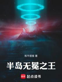 半岛无冕之王起点