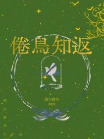 倦鸟知返1失灵