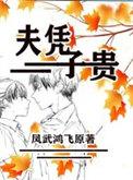 夫凭子贵短命夫君想上位沈桑宁