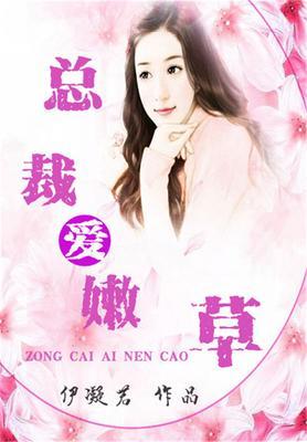 总裁n+1