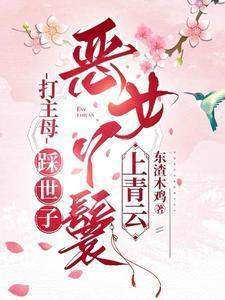 恶女丫鬟上青云短剧