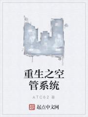 数字空管系统