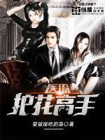 医品护花高手完整版