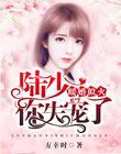 陆少的暖婚新