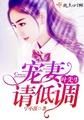 叶先生请签字全文免费阅读