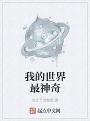 我的世界神奇世界