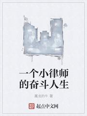 一个律师的